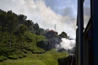 Nilgiri-Blue-Mountain-Train, Mettupalayam - Coonoor_DSC5436_H600